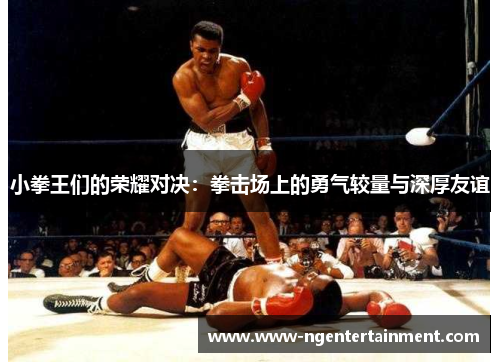 小拳王们的荣耀对决：拳击场上的勇气较量与深厚友谊