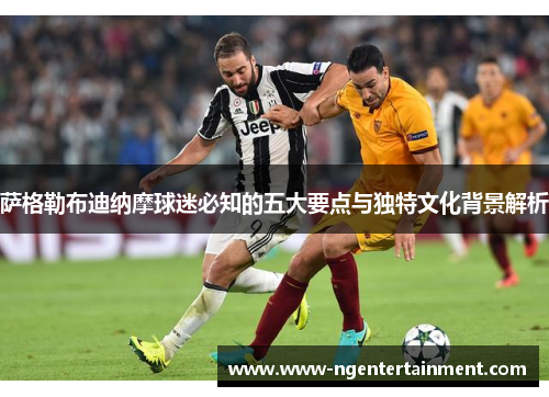 萨格勒布迪纳摩球迷必知的五大要点与独特文化背景解析