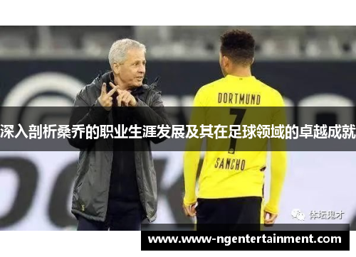 深入剖析桑乔的职业生涯发展及其在足球领域的卓越成就