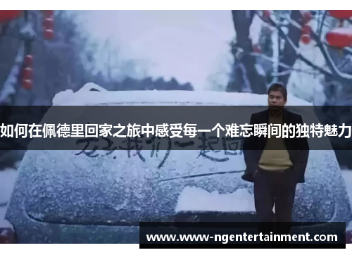 如何在佩德里回家之旅中感受每一个难忘瞬间的独特魅力