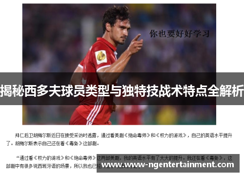 揭秘西多夫球员类型与独特技战术特点全解析