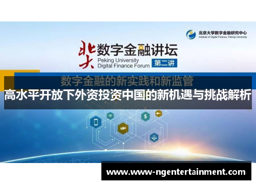 高水平开放下外资投资中国的新机遇与挑战解析